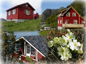 angelreise nach norwegische fjorde. Boot und Ferienhaus am Fjord